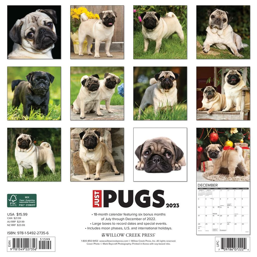 Deals ๐ฅ 2023 Just Pugs Wall Calendar by Willow Creek Press ๐งจ 2 Deals ๐ฅ 2023 Just Pugs Wall Calendar by Willow Creek Press ๐งจ - Image 2
