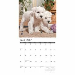 Hot Sale ⌛ 2023 Puppy Playmates Wall Calendar by Willow Creek Press ❤️ -Cheap Willow Creek Press Store D670200S 3