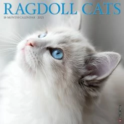 Best Pirce ✨ 2023 Ragdoll Cats Wall Calendar by Willow Creek Press 💯