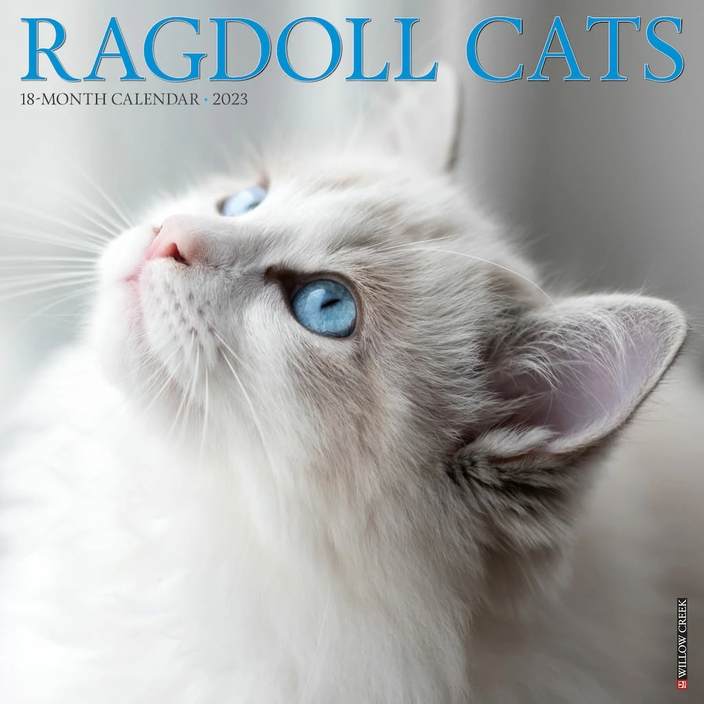 Best Pirce ✨ 2023 Ragdoll Cats Wall Calendar by Willow Creek Press 💯 1 Best Pirce ✨ 2023 Ragdoll Cats Wall Calendar by Willow Creek Press 💯