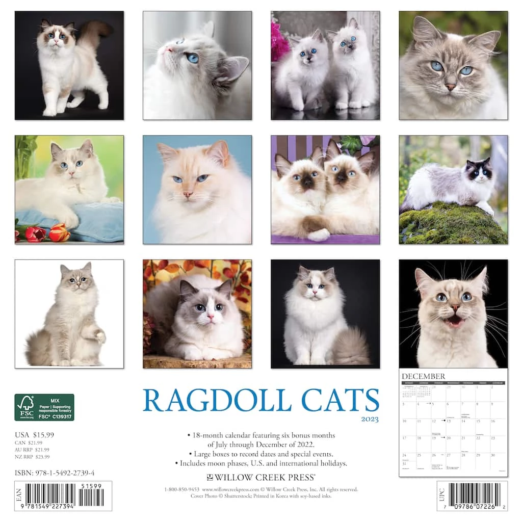 Best Pirce ✨ 2023 Ragdoll Cats Wall Calendar by Willow Creek Press 💯 2 Best Pirce ✨ 2023 Ragdoll Cats Wall Calendar by Willow Creek Press 💯 - Image 2