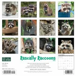 Discount ๐ 2023 Rascally Raccoons Wall Calendar by Willow Creek Press ๐ 5 Discount ๐ 2023 Rascally Raccoons Wall Calendar by Willow Creek Press ๐ -Cheap Willow Creek Press Store D670207S 2