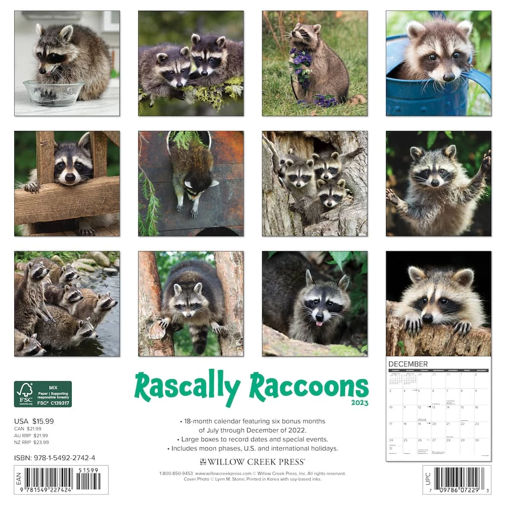 Discount ๐ 2023 Rascally Raccoons Wall Calendar by Willow Creek Press ๐ 2 Discount ๐ 2023 Rascally Raccoons Wall Calendar by Willow Creek Press ๐ - Image 2