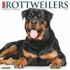 Promo 🎁 2023 Just Rottweilers Wall Calendar by Willow Creek Press 🎉