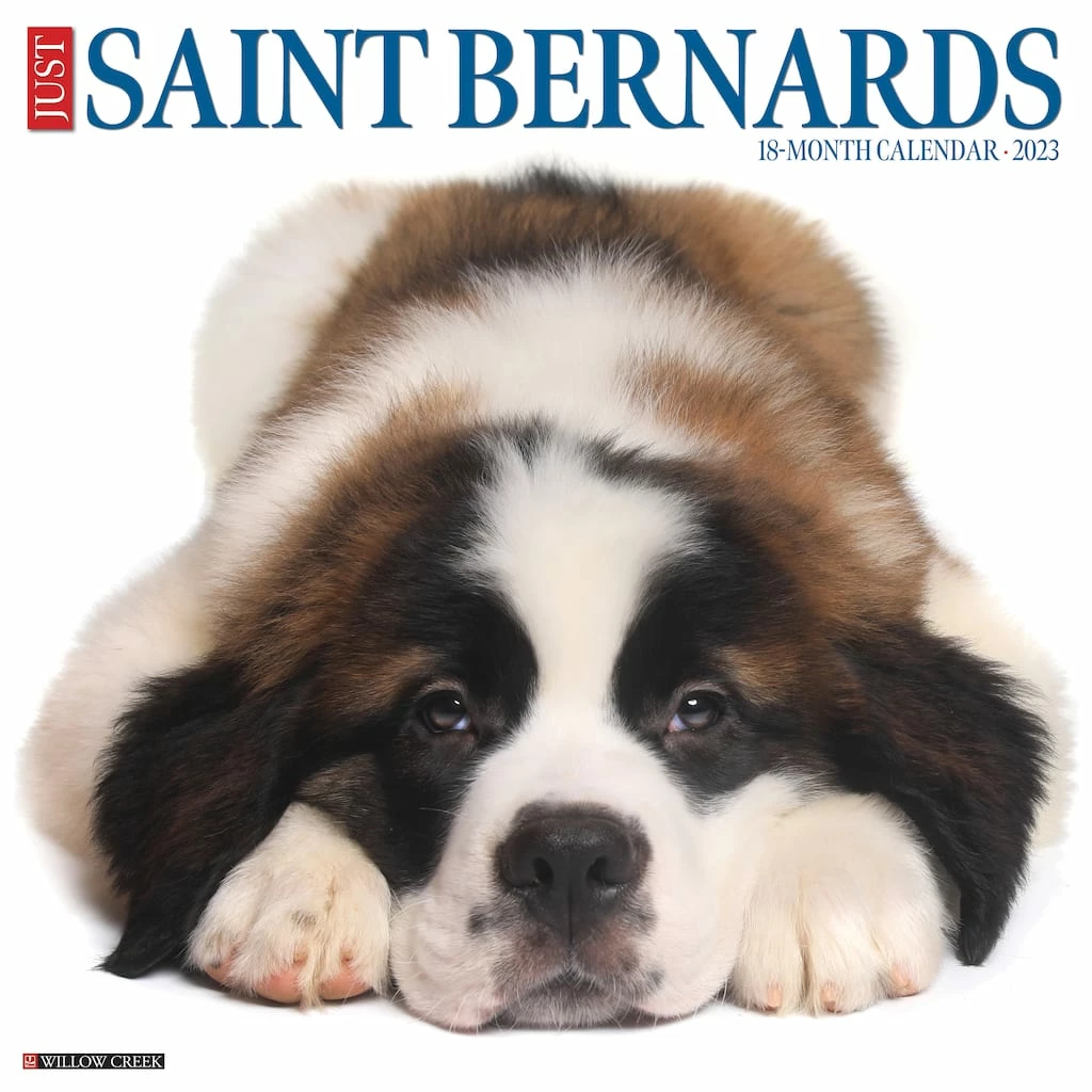 Best Pirce 😍 2023 Just Saint Bernards Wall Calendar by Willow Creek Press 🌟 1 Best Pirce 😍 2023 Just Saint Bernards Wall Calendar by Willow Creek Press 🌟
