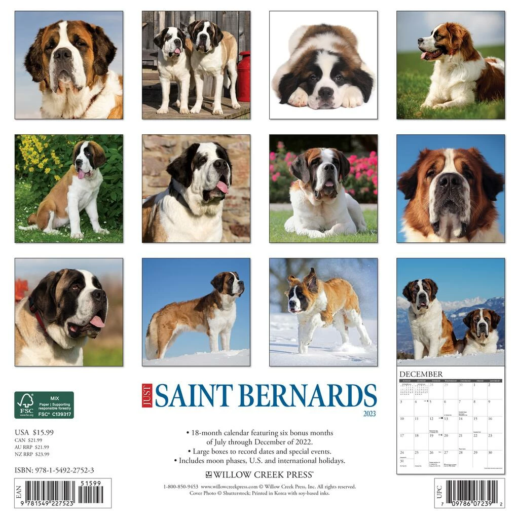 Best Pirce 😍 2023 Just Saint Bernards Wall Calendar by Willow Creek Press 🌟 2 Best Pirce 😍 2023 Just Saint Bernards Wall Calendar by Willow Creek Press 🌟 - Image 2