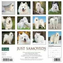 Deals 🤩 2023 Just Samoyeds Wall Calendar by Willow Creek Press ✔️ -Cheap Willow Creek Press Store D670214S 2