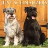Deals 🧨 2023 Just Schnauzers Wall Calendar by Willow Creek Press 🥰