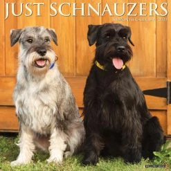 Deals 🧨 2023 Just Schnauzers Wall Calendar by Willow Creek Press 🥰