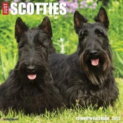 Promo ✔️ 2023 Just Scotties Wall Calendar by Willow Creek Press ⌛