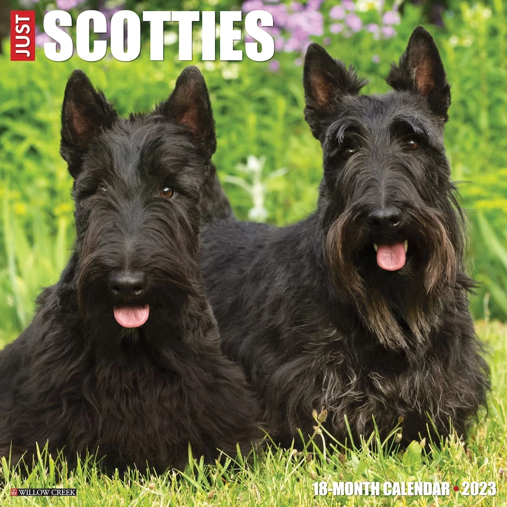 Promo ✔️ 2023 Just Scotties Wall Calendar by Willow Creek Press ⌛ 1 Promo ✔️ 2023 Just Scotties Wall Calendar by Willow Creek Press ⌛