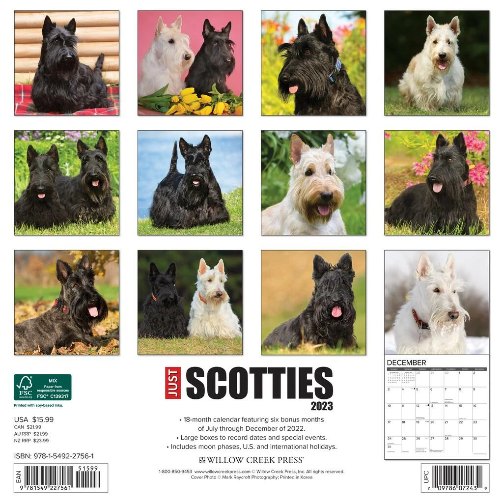 Promo ✔️ 2023 Just Scotties Wall Calendar by Willow Creek Press ⌛ 2 Promo ✔️ 2023 Just Scotties Wall Calendar by Willow Creek Press ⌛ - Image 2