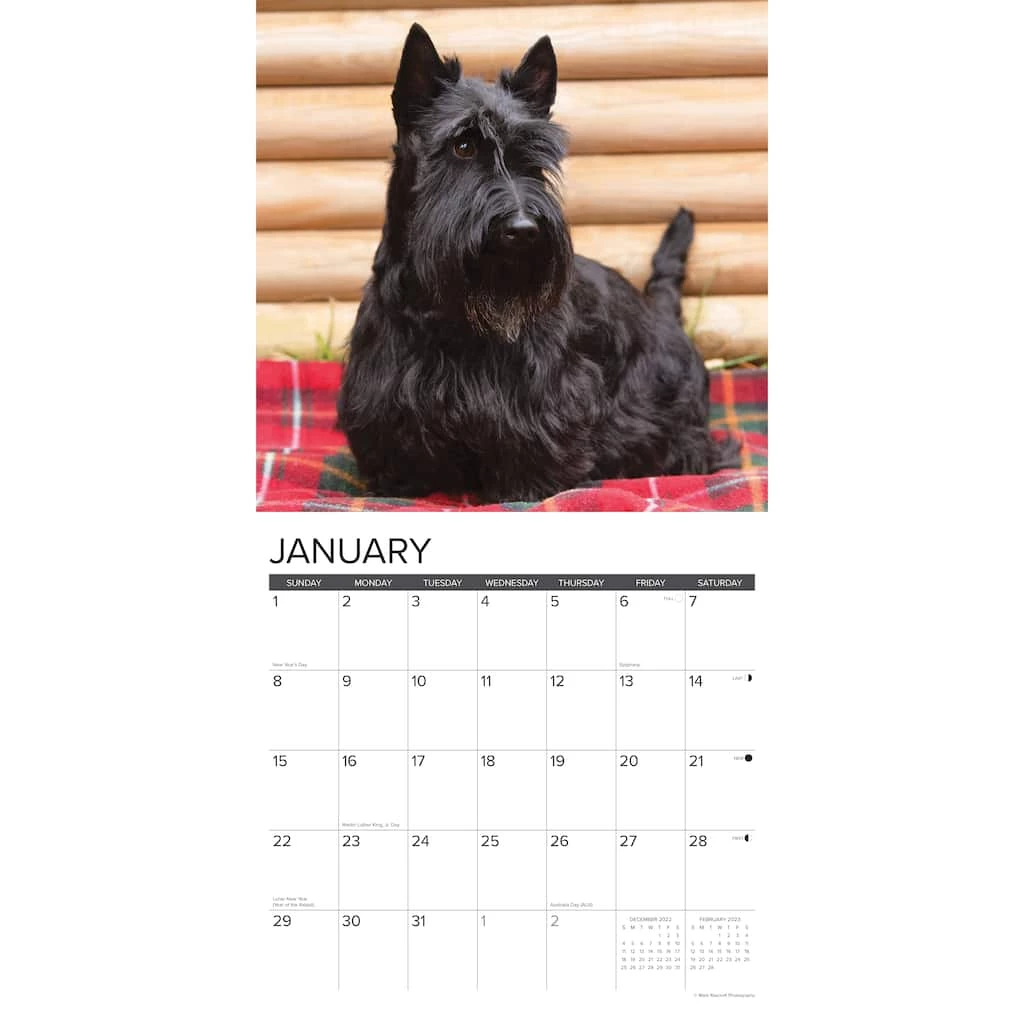 Promo ✔️ 2023 Just Scotties Wall Calendar by Willow Creek Press ⌛ 3 Promo ✔️ 2023 Just Scotties Wall Calendar by Willow Creek Press ⌛ - Image 3