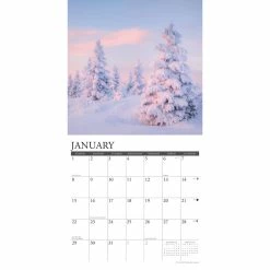 Discount 🥰 2023 Seasons Wall Calendar by Willow Creek Press 😍 -Cheap Willow Creek Press Store D670218S 3