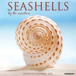 Best reviews of ๐ 2023 Seashells Wall Calendar by Willow Creek Press โญ