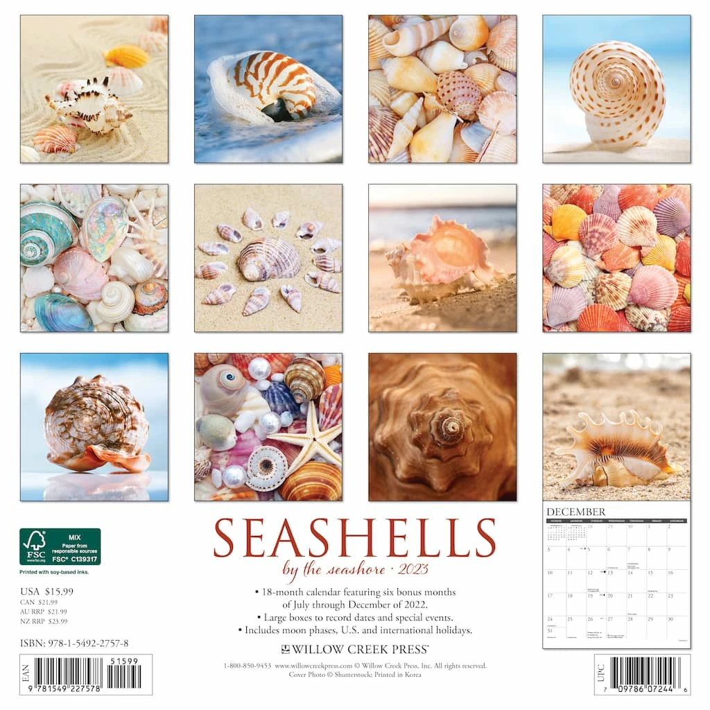 Best reviews of 🛒 2023 Seashells Wall Calendar by Willow Creek Press ⭐ 2 Best reviews of 🛒 2023 Seashells Wall Calendar by Willow Creek Press ⭐ - Image 2
