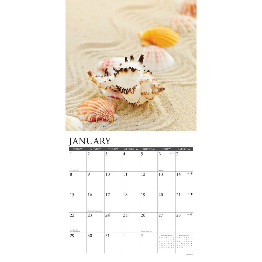 Best reviews of 🛒 2023 Seashells Wall Calendar by Willow Creek Press ⭐ 3 Best reviews of 🛒 2023 Seashells Wall Calendar by Willow Creek Press ⭐ - Image 3