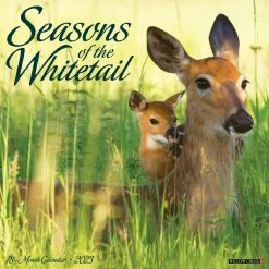 Buy 👍 2023 Seasons of the Whitetail Wall Calendar by Willow Creek Press ⭐