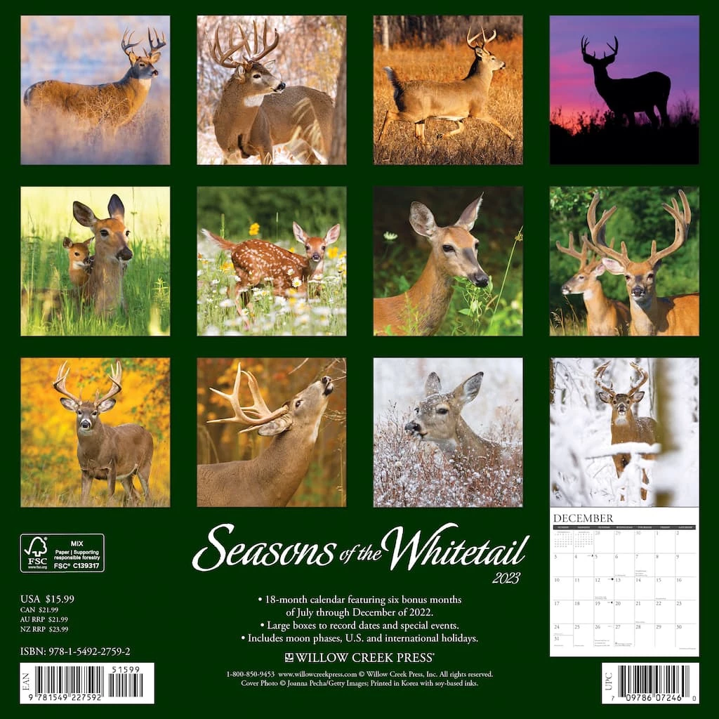 Buy 👍 2023 Seasons of the Whitetail Wall Calendar by Willow Creek Press ⭐ 2 Buy 👍 2023 Seasons of the Whitetail Wall Calendar by Willow Creek Press ⭐ - Image 2