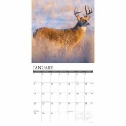 Buy 👍 2023 Seasons of the Whitetail Wall Calendar by Willow Creek Press ⭐ 6 Buy 👍 2023 Seasons of the Whitetail Wall Calendar by Willow Creek Press ⭐ -Cheap Willow Creek Press Store D670220S 3