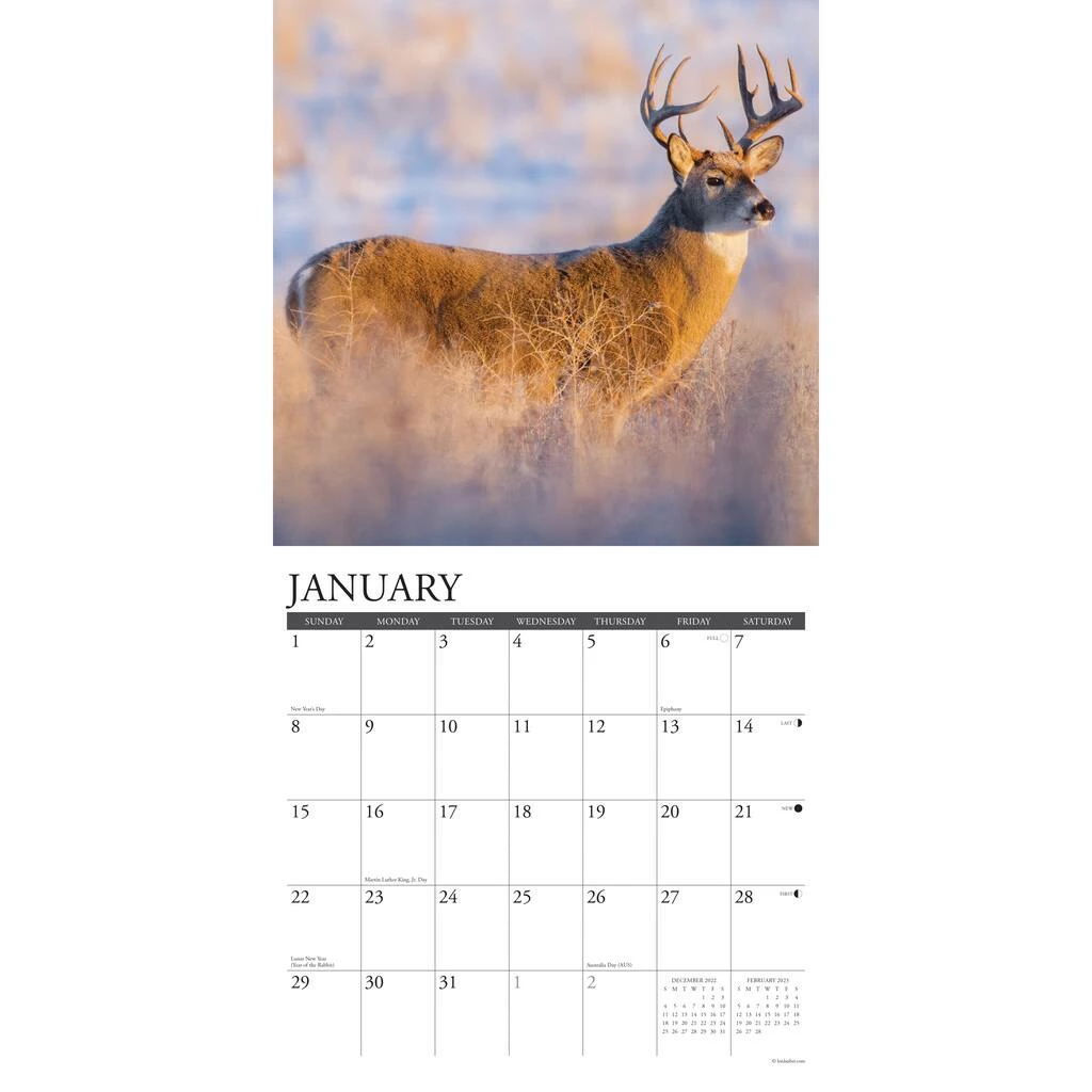 Buy 👍 2023 Seasons of the Whitetail Wall Calendar by Willow Creek Press ⭐ 3 Buy 👍 2023 Seasons of the Whitetail Wall Calendar by Willow Creek Press ⭐ - Image 3