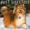 New 🥰 2023 Just Shelties Wall Calendar by Willow Creek Press 👏