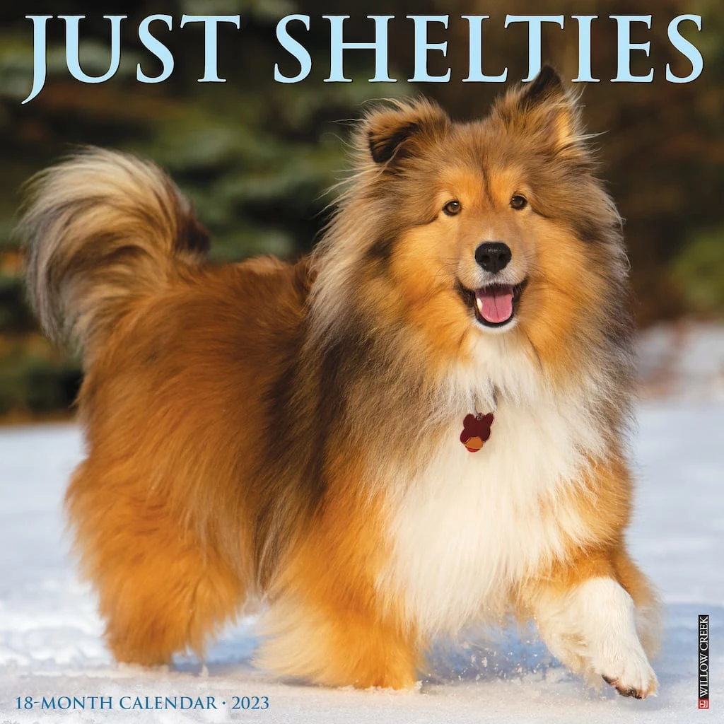 New ๐ฅฐ 2023 Just Shelties Wall Calendar by Willow Creek Press ๐ 1 New ๐ฅฐ 2023 Just Shelties Wall Calendar by Willow Creek Press ๐