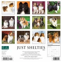 New ๐ฅฐ 2023 Just Shelties Wall Calendar by Willow Creek Press ๐ 5 New ๐ฅฐ 2023 Just Shelties Wall Calendar by Willow Creek Press ๐ -Cheap Willow Creek Press Store D670223S 2