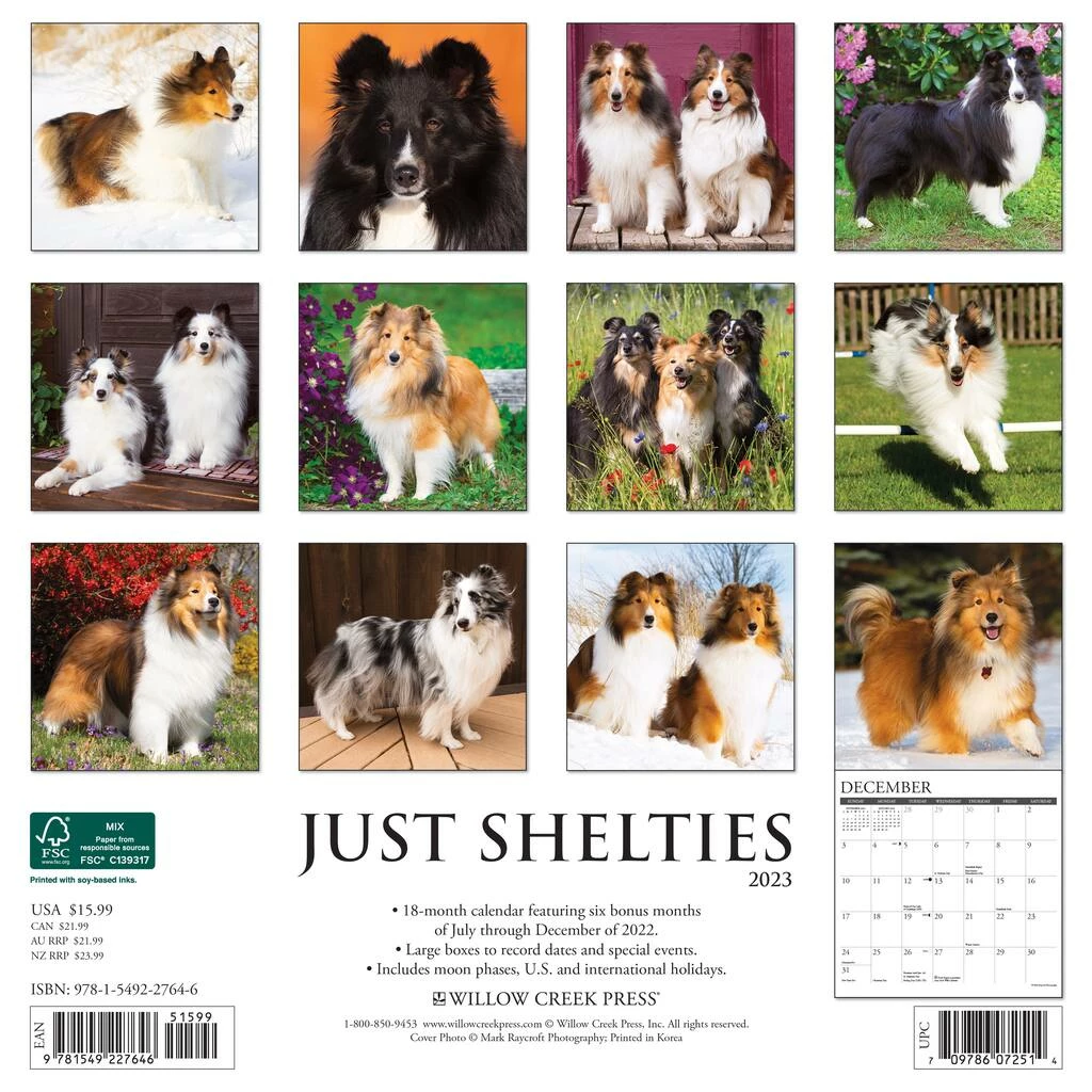 New ๐ฅฐ 2023 Just Shelties Wall Calendar by Willow Creek Press ๐ 2 New ๐ฅฐ 2023 Just Shelties Wall Calendar by Willow Creek Press ๐ - Image 2