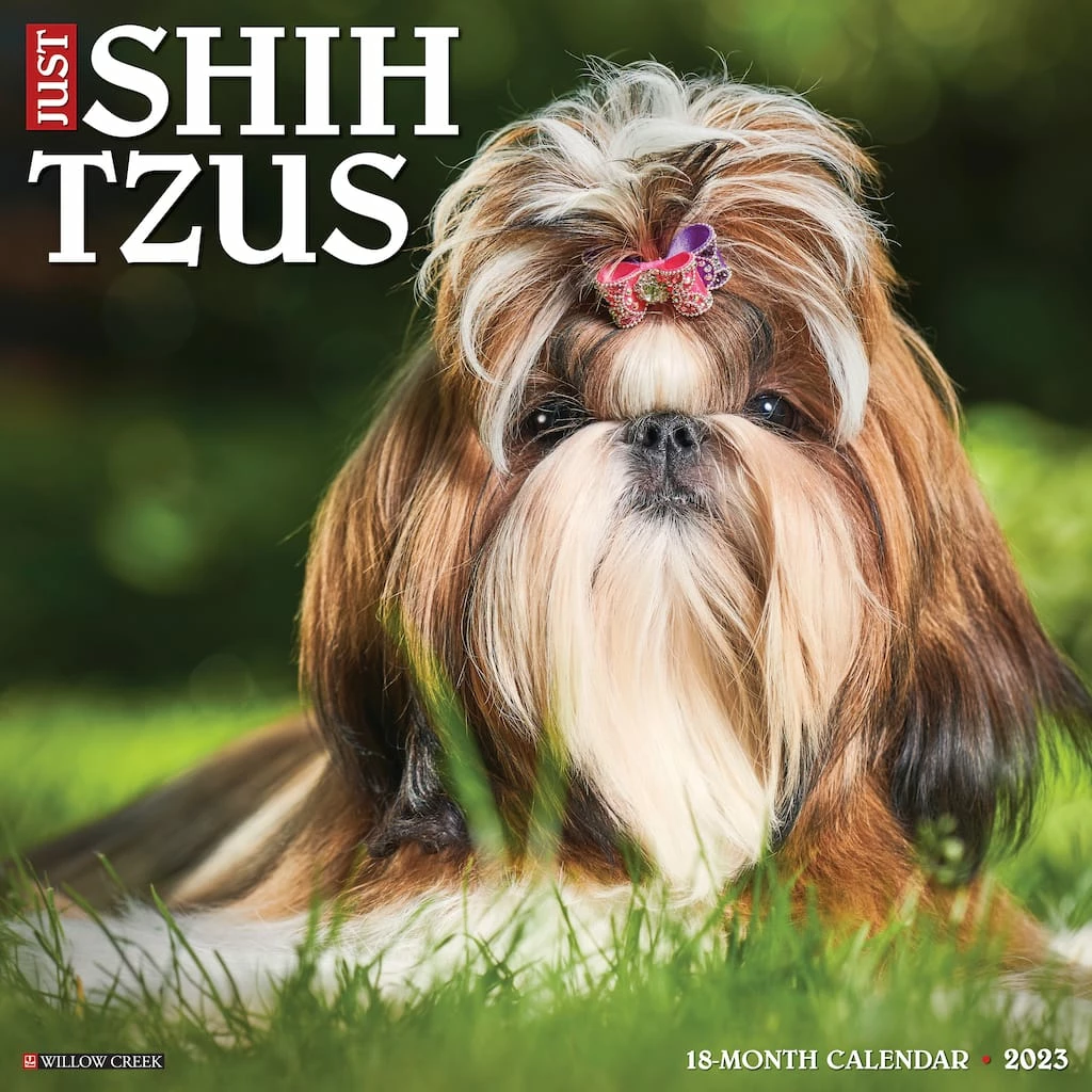 Coupon π₯° 2023 Just Shih Tzus Wall Calendar by Willow Creek Press π 1 Coupon π₯° 2023 Just Shih Tzus Wall Calendar by Willow Creek Press π