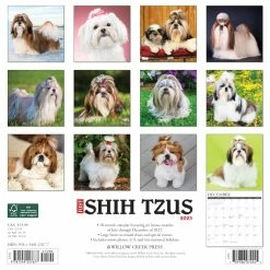Coupon π₯° 2023 Just Shih Tzus Wall Calendar by Willow Creek Press π 5 Coupon π₯° 2023 Just Shih Tzus Wall Calendar by Willow Creek Press π -Cheap Willow Creek Press Store D670224S 2