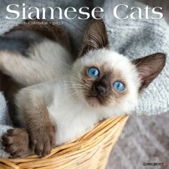 Wholesale 🎉 2023 Siamese Cats Wall Calendar by Willow Creek Press 🔥