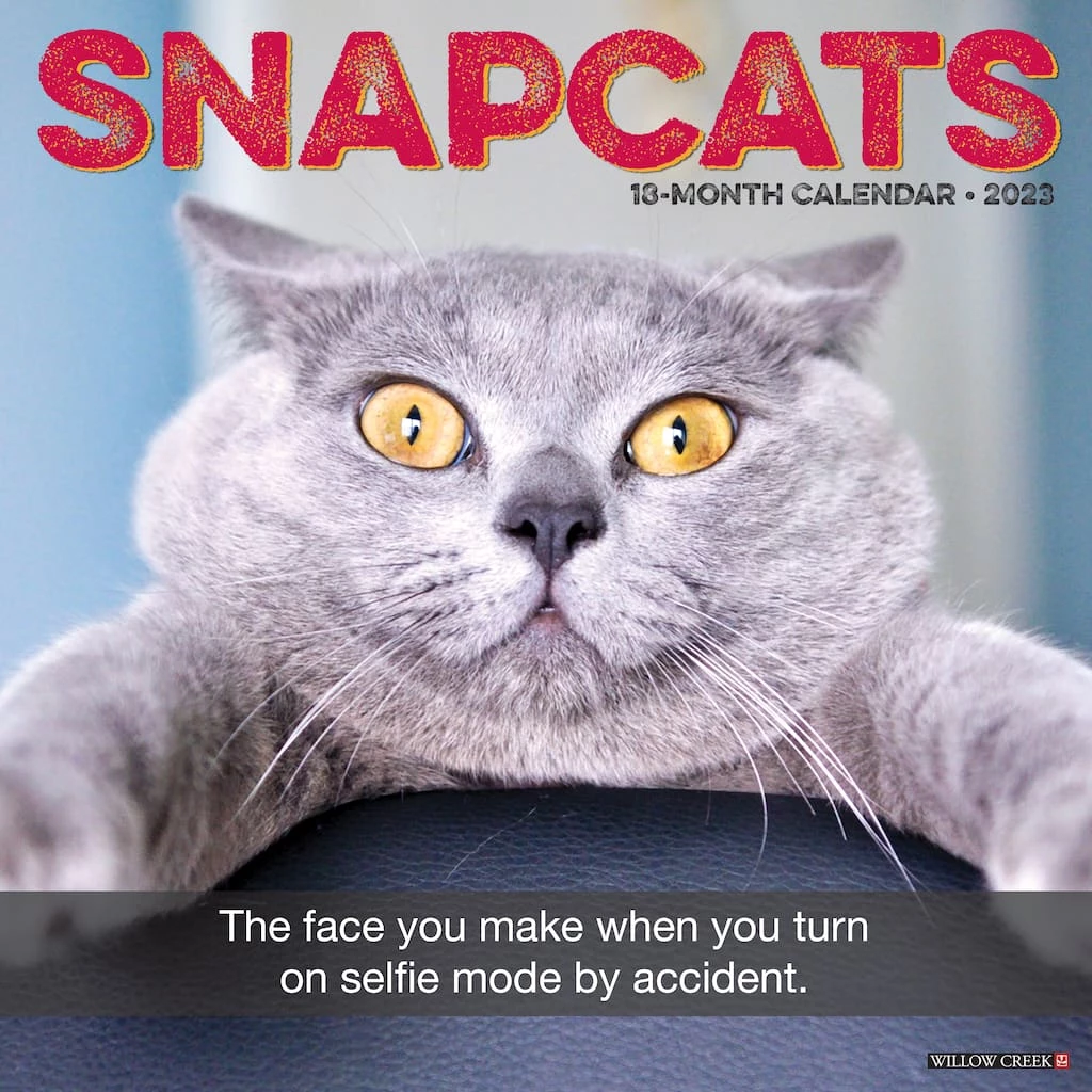 Deals 😍 2023 Snapcats Wall Calendar by Willow Creek Press 🤩 1 Deals 😍 2023 Snapcats Wall Calendar by Willow Creek Press 🤩