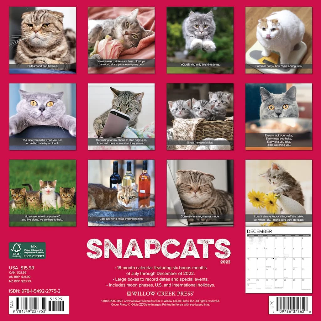 Deals 😍 2023 Snapcats Wall Calendar by Willow Creek Press 🤩 2 Deals 😍 2023 Snapcats Wall Calendar by Willow Creek Press 🤩 - Image 2