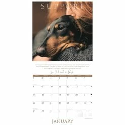 Hot Sale 🛒 2023 So God Made a 🐕 Dog Wall Calendar by Willow Creek Press 🎉 -Cheap Willow Creek Press Store D670232S 3