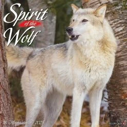 Budget โญ 2023 Spirit of the Wolf Wall Calendar by Willow Creek Press ๐