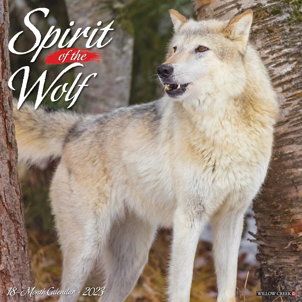 Budget ⭐ 2023 Spirit of the Wolf Wall Calendar by Willow Creek Press 🎉 1 Budget ⭐ 2023 Spirit of the Wolf Wall Calendar by Willow Creek Press 🎉