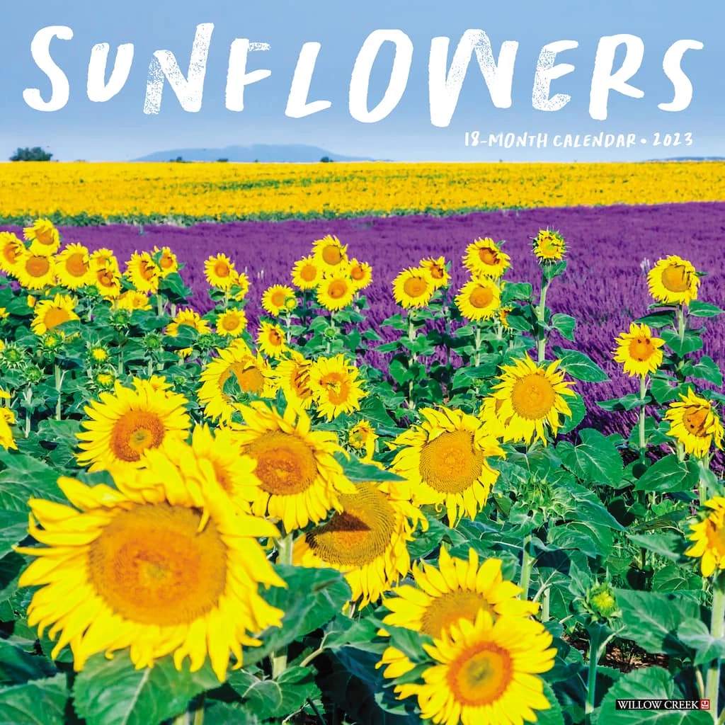 Coupon 🎁 2023 Sunflowers Wall Calendar by Willow Creek Press 🤩 1 Coupon 🎁 2023 Sunflowers Wall Calendar by Willow Creek Press 🤩