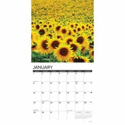 Coupon 🎁 2023 Sunflowers Wall Calendar by Willow Creek Press 🤩 6 Coupon 🎁 2023 Sunflowers Wall Calendar by Willow Creek Press 🤩 -Cheap Willow Creek Press Store D670238S 3