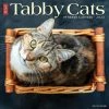 Best reviews of ⭐ 2023 Just Tabby Cats Wall Calendar by Willow Creek Press 👍