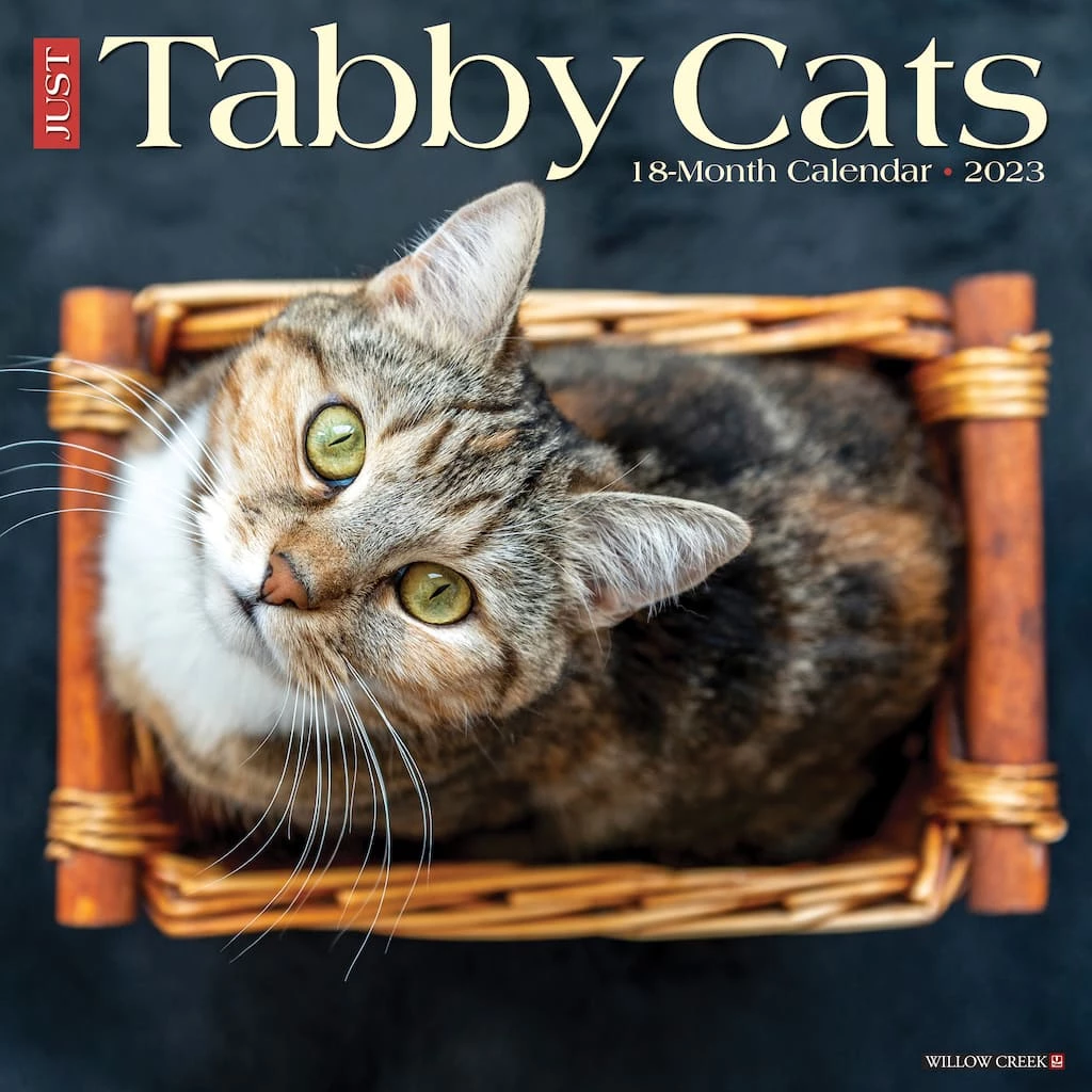 Best reviews of โญ 2023 Just Tabby Cats Wall Calendar by Willow Creek Press ๐ 1 Best reviews of โญ 2023 Just Tabby Cats Wall Calendar by Willow Creek Press ๐