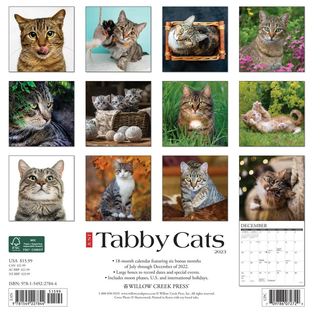 Best reviews of โญ 2023 Just Tabby Cats Wall Calendar by Willow Creek Press ๐ 2 Best reviews of โญ 2023 Just Tabby Cats Wall Calendar by Willow Creek Press ๐ - Image 2