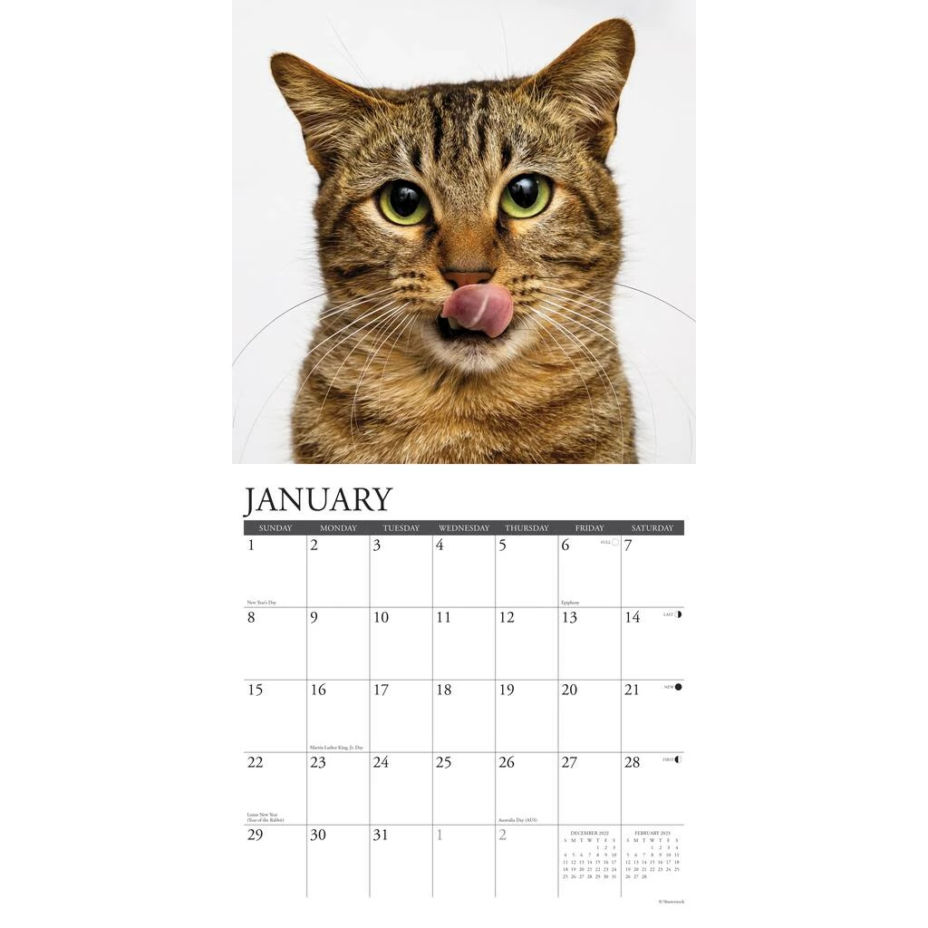Best reviews of โญ 2023 Just Tabby Cats Wall Calendar by Willow Creek Press ๐ 3 Best reviews of โญ 2023 Just Tabby Cats Wall Calendar by Willow Creek Press ๐ - Image 3