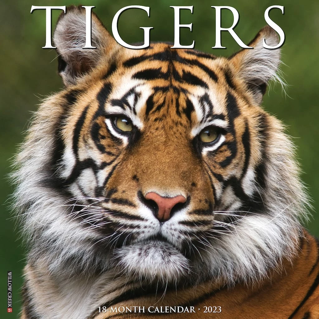 Cheapest ๐ 2023 Tigers Wall Calendar by Willow Creek Press ๐ 1 Cheapest ๐ 2023 Tigers Wall Calendar by Willow Creek Press ๐