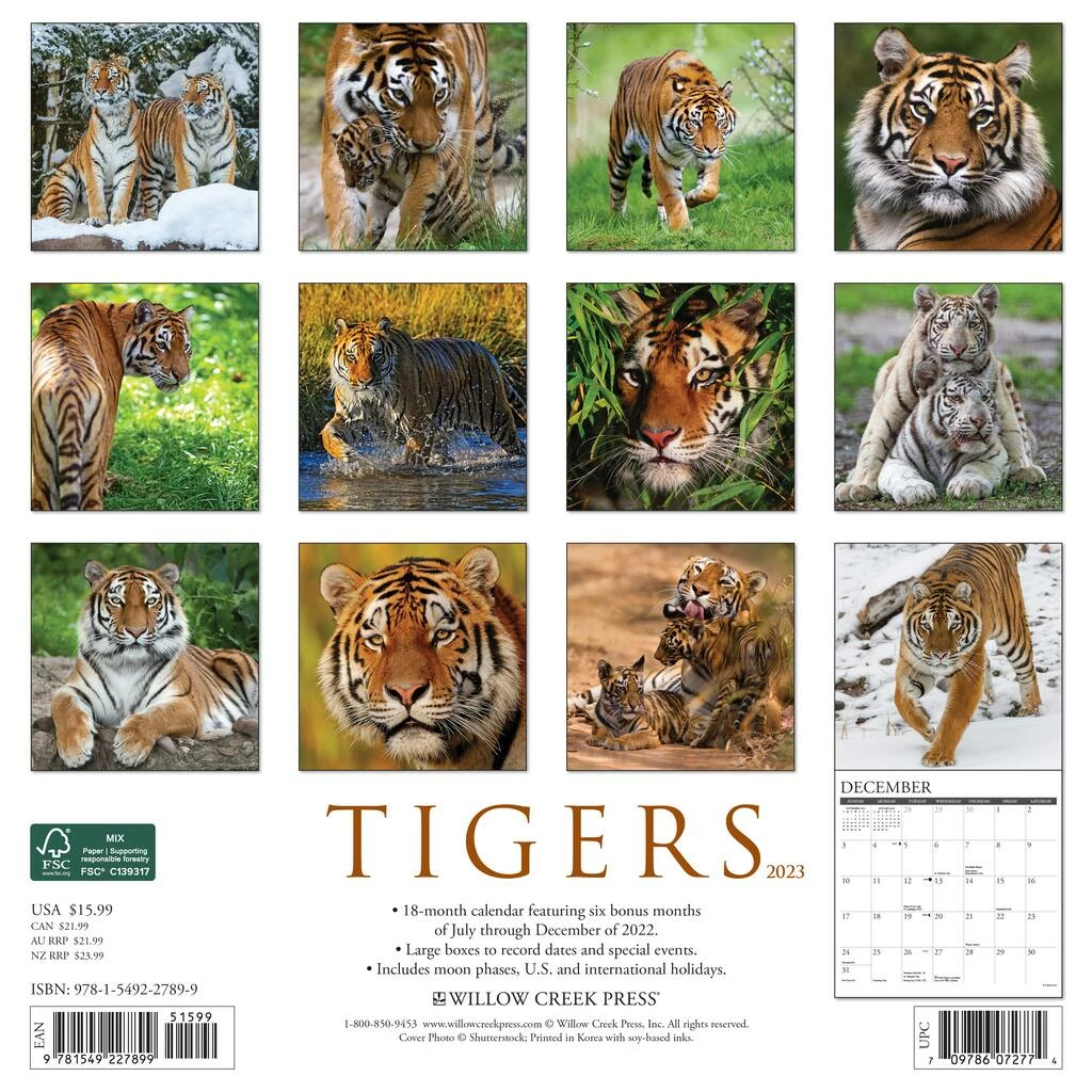 Cheapest ๐ 2023 Tigers Wall Calendar by Willow Creek Press ๐ 2 Cheapest ๐ 2023 Tigers Wall Calendar by Willow Creek Press ๐ - Image 2