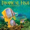 Top 10 ❤️ 2023 Tropical Fish Wall Calendar by Willow Creek Press 🌟