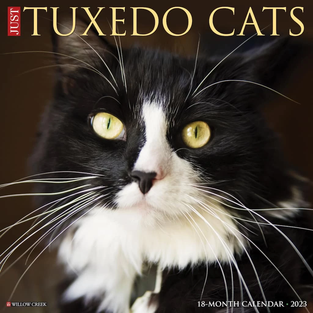 Best Sale ๐งจ 2023 Just Tuxedo Cats Wall Calendar by Willow Creek Press โ๏ธ 1 Best Sale ๐งจ 2023 Just Tuxedo Cats Wall Calendar by Willow Creek Press โ๏ธ