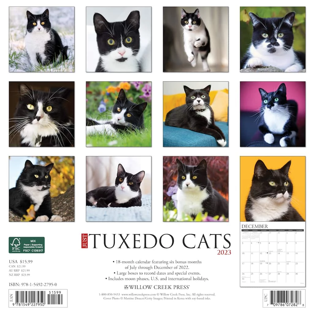 Best Sale ๐งจ 2023 Just Tuxedo Cats Wall Calendar by Willow Creek Press โ๏ธ 2 Best Sale ๐งจ 2023 Just Tuxedo Cats Wall Calendar by Willow Creek Press โ๏ธ - Image 2