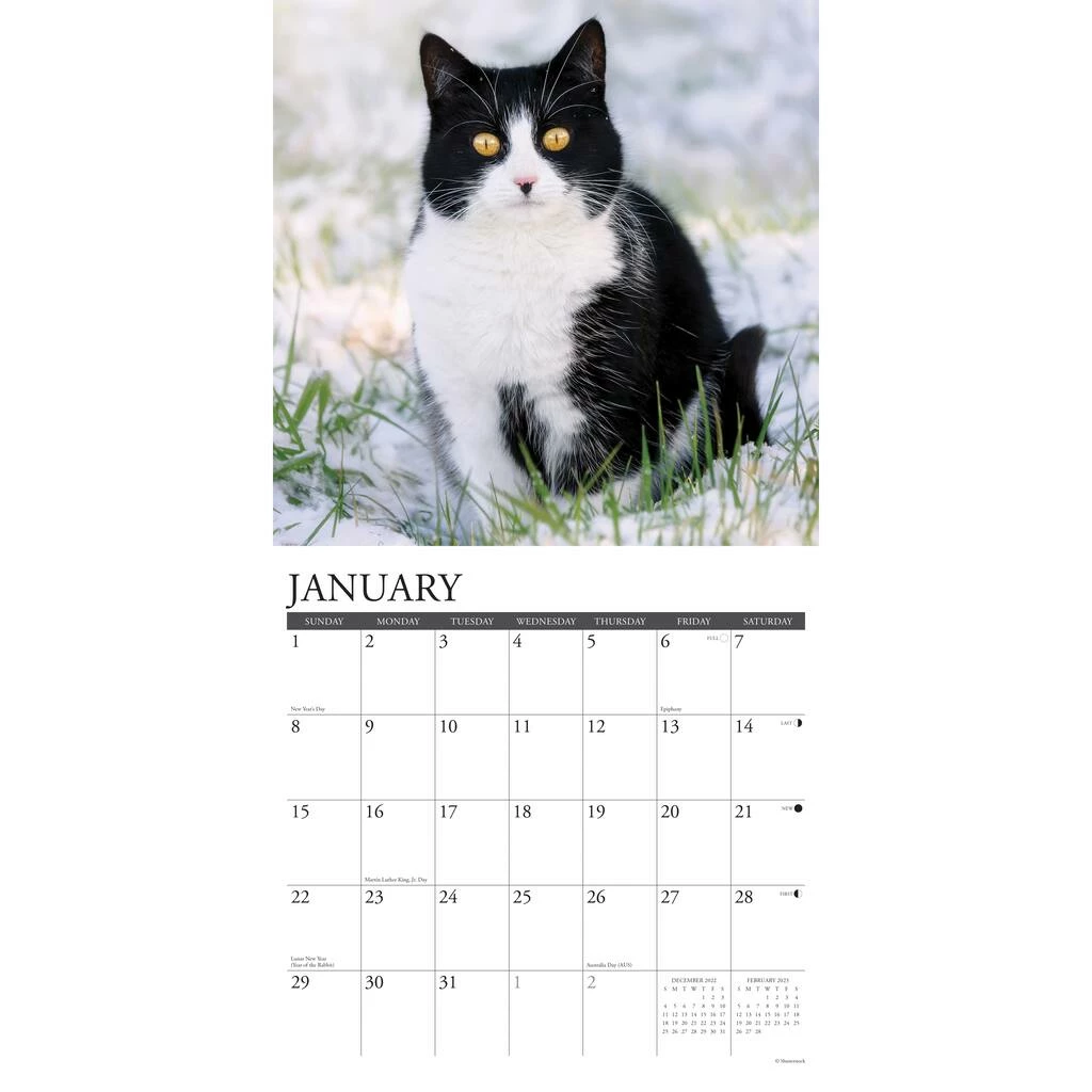 Best Sale ๐งจ 2023 Just Tuxedo Cats Wall Calendar by Willow Creek Press โ๏ธ 3 Best Sale ๐งจ 2023 Just Tuxedo Cats Wall Calendar by Willow Creek Press โ๏ธ - Image 3