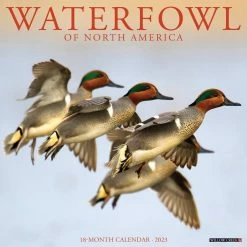 Coupon 🎉 2023 Waterfowl Wall Calendar by Willow Creek Press ✨